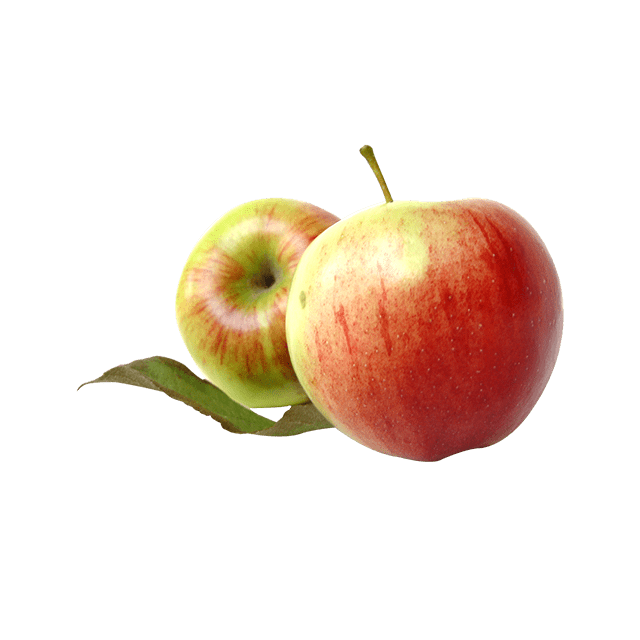 Orange Juice — изображение 4